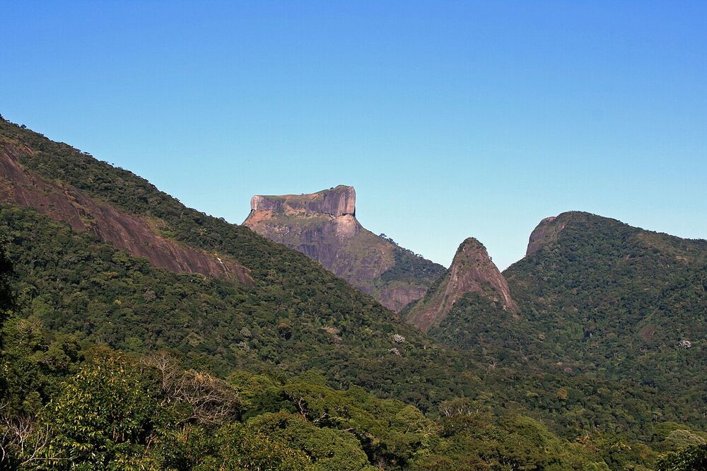 Rainforest Rio: Tijuca + the Botanical Garden
